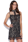 Lace Mesh Bodycon Dress