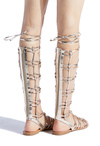 Earnesta Lace Up Gladiator Sandal